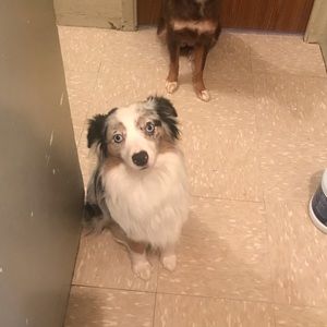 Meet your Posher, Isabel